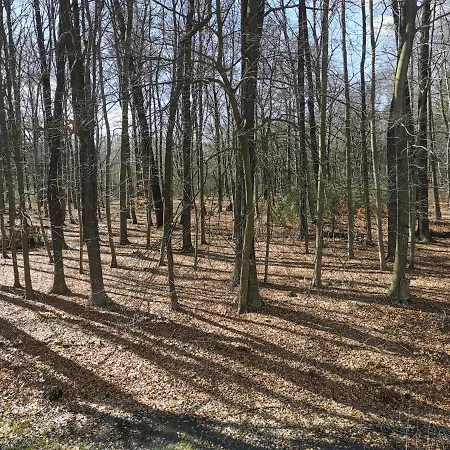 Alojamento de Acomodação e Pequeno-almoço Gaestehaus Vergissmeinnicht Guteborn