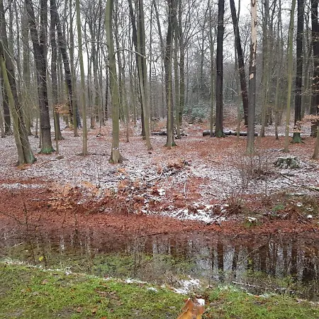 Alojamento de Acomodação e Pequeno-almoço Gaestehaus Vergissmeinnicht 3*