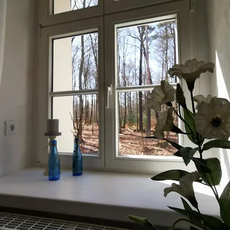 Gaestehaus Vergissmeinnicht Alojamento de Acomodação e Pequeno-almoço Guteborn