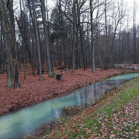 Bed & Breakfast Gaestehaus Vergissmeinnicht Guteborn