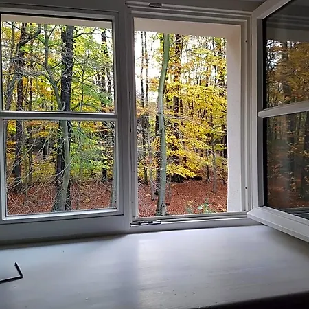Gaestehaus Vergissmeinnicht 3* Guteborn