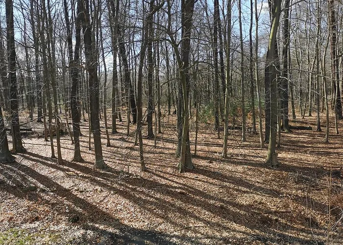 Bed & Breakfast Gaestehaus Vergissmeinnicht Guteborn