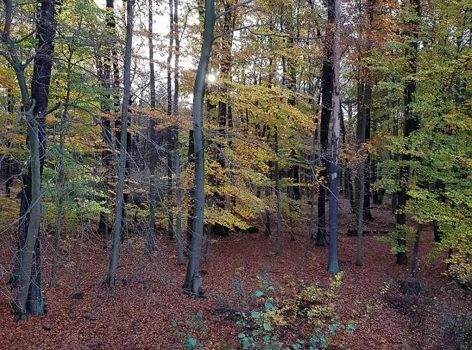 Bed & Breakfast Gaestehaus Vergissmeinnicht Guteborn