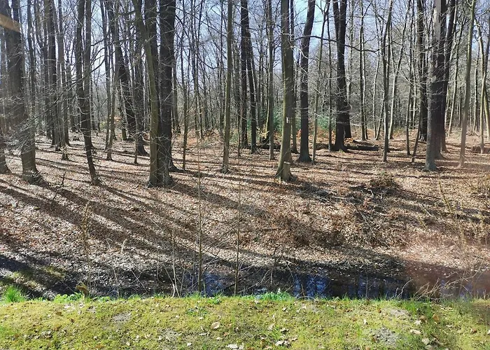 Bed & Breakfast Gaestehaus Vergissmeinnicht 3*