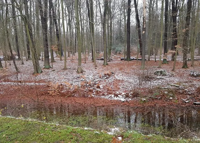 Bed & Breakfast Gaestehaus Vergissmeinnicht 3*