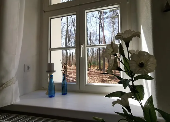 Gaestehaus Vergissmeinnicht Bed & Breakfast Guteborn