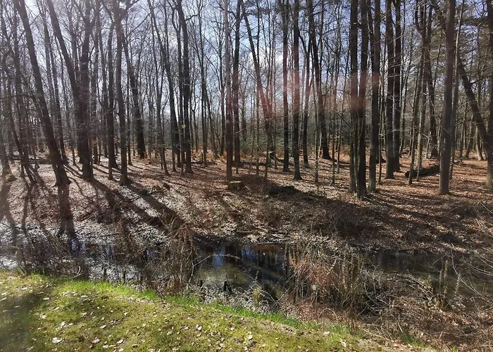 Gaestehaus Vergissmeinnicht 3* Guteborn