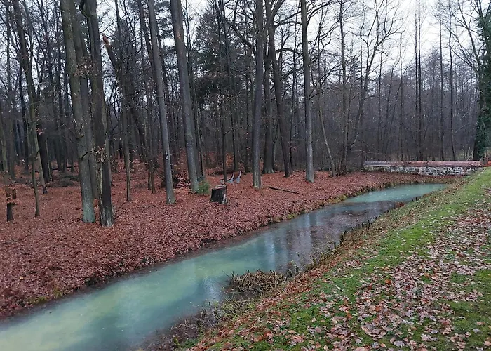 Bed & Breakfast Gaestehaus Vergissmeinnicht Guteborn