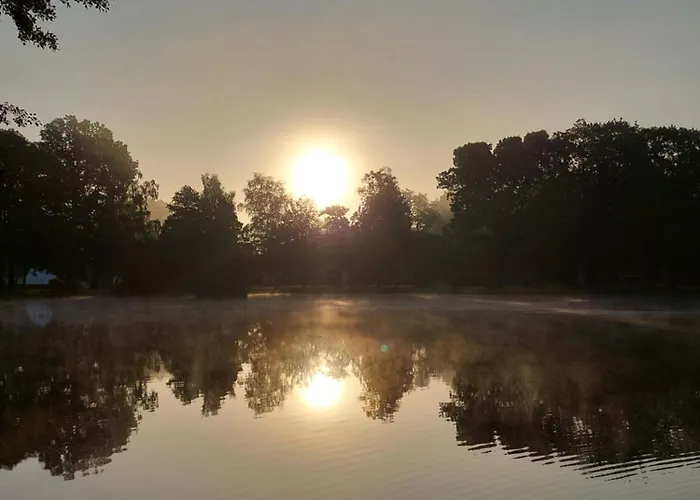 Gaestehaus Vergissmeinnicht Bed & Breakfast 3*